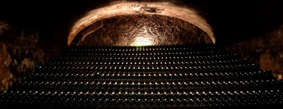 Elaboration exclusively of super-premium sparkling wine Gran Reserva
